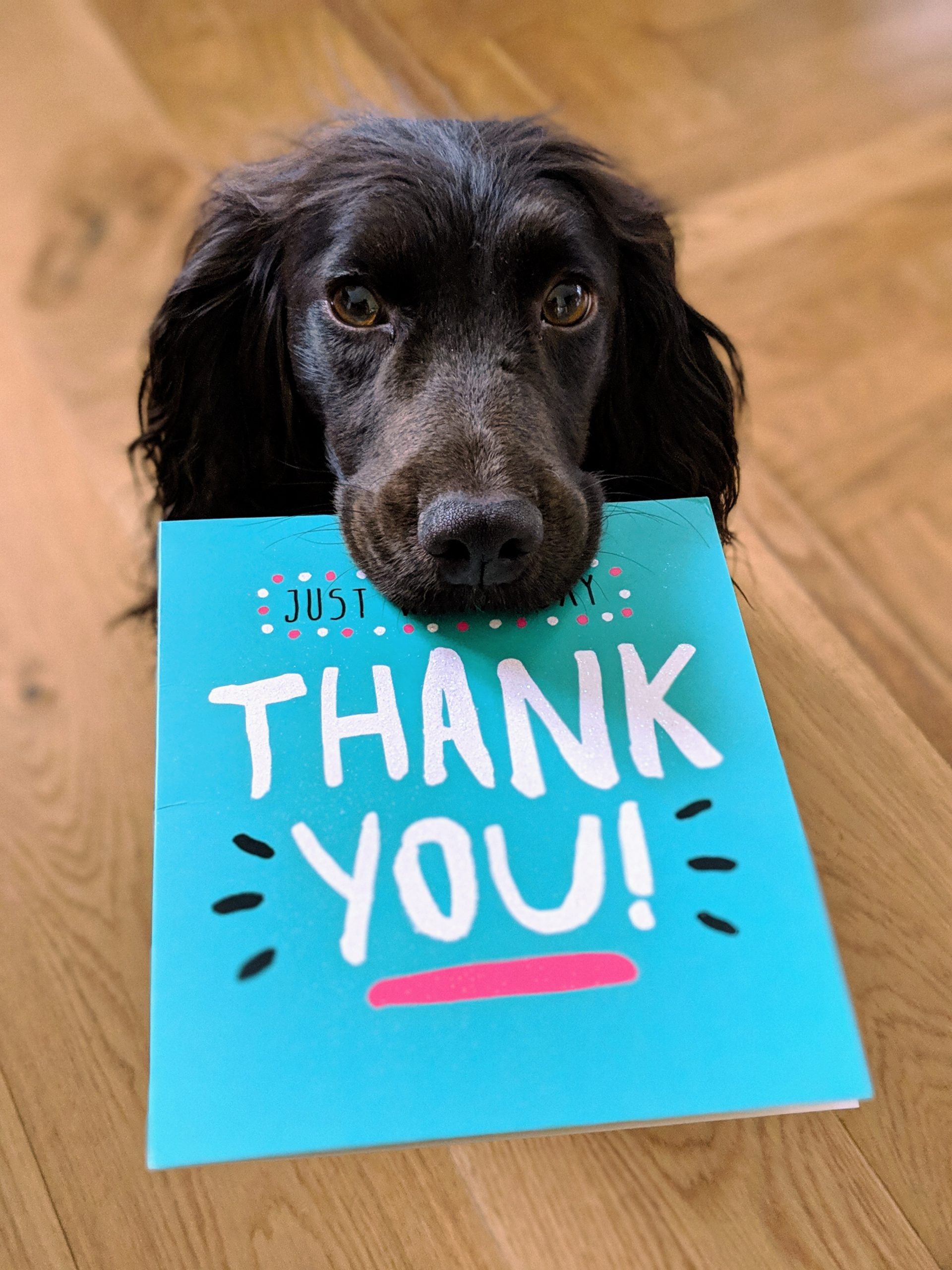 What Does Employee Appreciation Look Like?